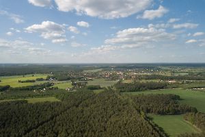 Wald in Sachsen_1