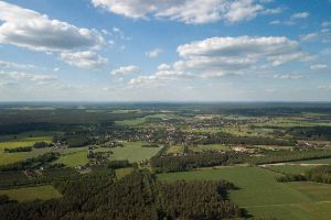 Wald in Sachsen_2