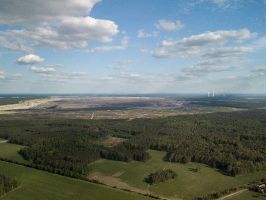 Wald in Sachsen_3