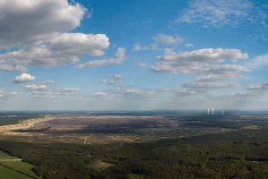 Wald in Sachsen_68