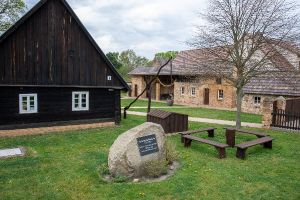 Wald in Sachsen_7